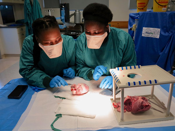 UCT Department of Surgery and the Surgical Skills Centre at Red Cross Children’s Hospital