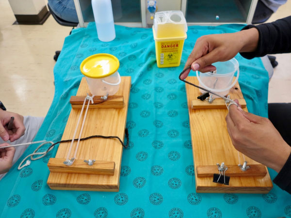  basic suturing skills and surgical knot tying